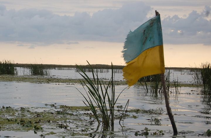 Эксперт: Украине потребовалось пять лет, чтобы осознать "обман Запада"