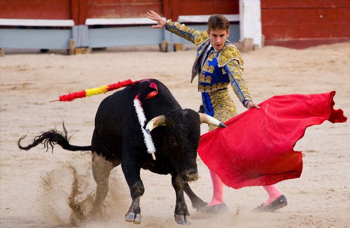 Испанская коррида: кровавое зрелище или дань традициям