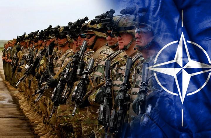 Олейник: Россия не будет смотреть, какие у НАТО "большие глазки и ушки"