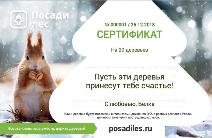 готовый1.jpg готовый1.jpg