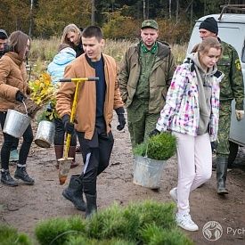 РусКлиматФонд  и ЮНЕП восстановили участок леса в Подмосковье в честь начала Десятилетия восстановления экосистем, объявленного ООН