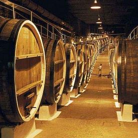 Департамент сельского хозяйства Севастополя при принятии защищённой маркировки вин нашёл компромисс между интересами малых виноделов и крупных винзаводов региона