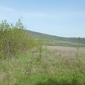 Поправки в земельное законодательство поспособствуют интенсификации сельскохозяйственной деятельности в окрестностях Севастополя