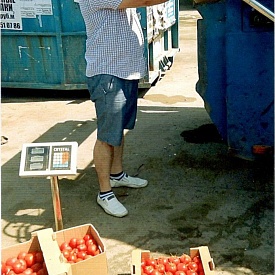 Санкционные турецкие помидоры завезли в Севастополь