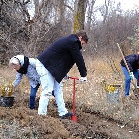 ​​​​​​​«Столото» и «РусКлиматФонд» завершили совместную акцию по высадке 8 гектаров леса!