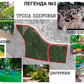 Эксперты ОНФ в Москве предложили несколько концепций благоустройства зоны отдыха в поселке Кокошкино Новой Москвы