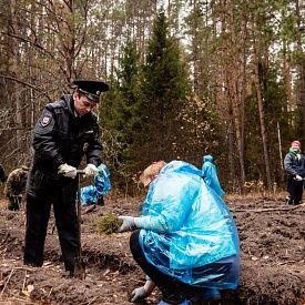Глоток чистого воздуха для планеты: РусКлиматФонд и SYNERGETIC посадили 50 тысяч сосен на месте погибшего леса в Нижегородской области