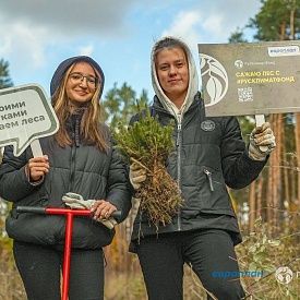 «Европлан» поддержал акцию РусКлиматФонда по восстановлению леса