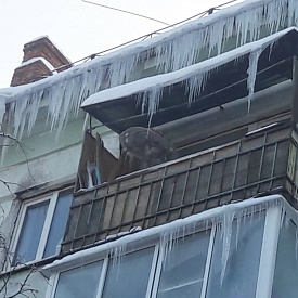 Активисты ОНФ продолжают проверять качество уборки снега и наледи на территории Московской области
