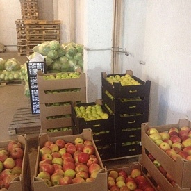 На складе одного из севастопольских торговых предприятий обнаружены санкционные польские яблоки