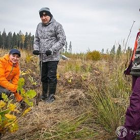 РусКлиматФонд  и ЮНЕП восстановили участок леса в Подмосковье в честь начала Десятилетия восстановления экосистем, объявленного ООН